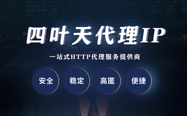 【新泰代理IP】代理ip客户端使用教程