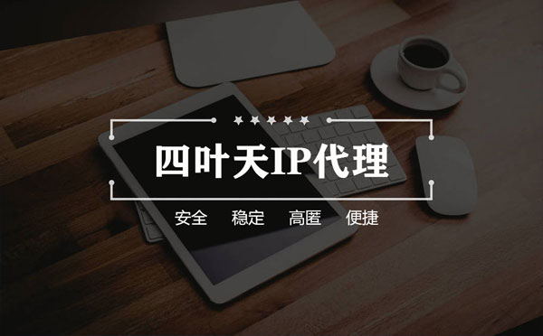 【新泰代理IP】如何快速搭建代理IP？怎么检查代理的效果？