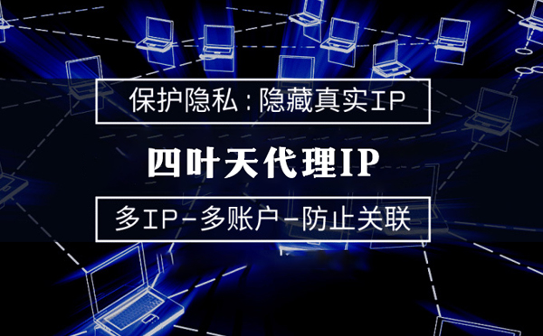 【新泰代理IP】什么是代理ip池？如何提高代理服务器的网速