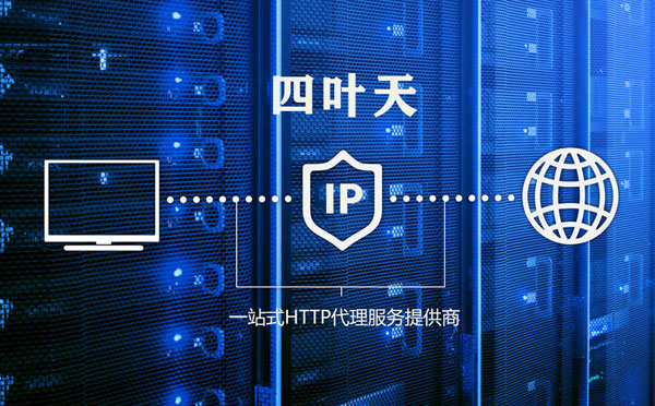 【新泰代理IP】代理IP的主要用途和使用注意事项